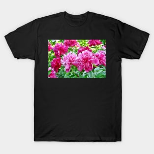 The Peonies Of Luoyang T-Shirt